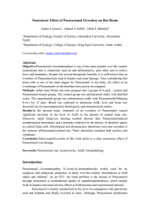 Neurotoxic Effect of Paracetamol Overdose on Rat Brain Amina E