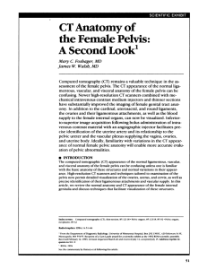 CT Anatomy of the Female Pelvis: A Second Look1