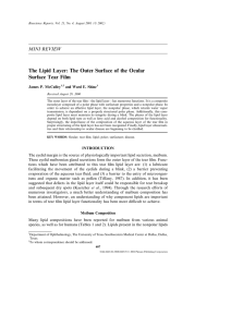The Lipid Layer: The Outer Surface of the Ocular Surface Tear Film