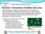 Stable Cell Line Development