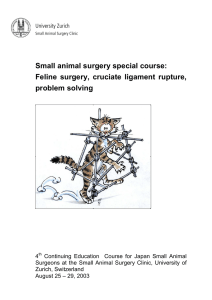 Small animal surgery special course: Feline surgery, cruciate