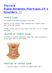 thyroid gland - Biology Notes Help