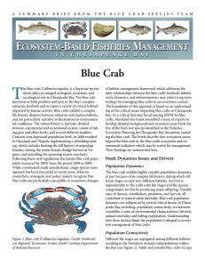 Blue Crab Summary_Blue Crab Status02001