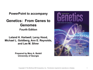 Gene Expression