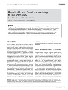 Hepatitis B virus: from immunobiology to