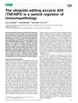 The ubiquitin-editing enzyme A20 (TNFAIP3) is a central regulator of