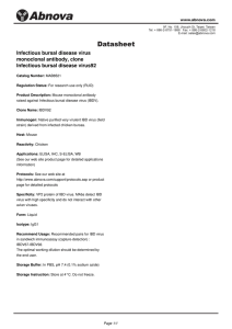 Infectious bursal disease virus monoclonal antibody, clone