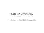 cell-mediated immunity.