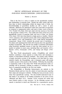 pelvic appendage myology of the hawaiian honeycreepers