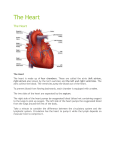 The Heart - Aroma Hut Institute