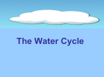 The Water Cycle - Thomas C. Cario Middle School