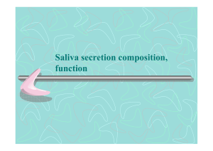 Saliva secretion composition, function