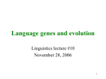 A “language gene”