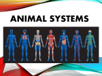 Systems - Jaguar Biology