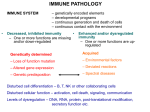 immune system - immunology.unideb.hu