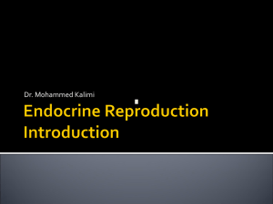 Endocrine Introduction