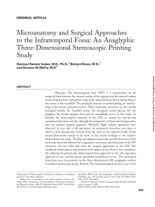 Microanatomy and Surgical Approaches to the