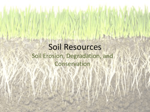 Soil Resources - WordPress.com