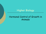 Hormonal Control of Growth in Animals