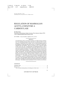 regulation of mammalian acetyl