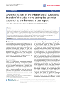Anatomic variant of the inferior lateral cutaneous branch of the radial