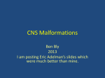 2013 Malformations