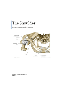 The Shoulder - Anatomy and Physiology Course Anatomy and