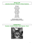 Cat Population Lab - KsuWeb