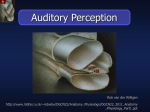 Auditory Perception P1