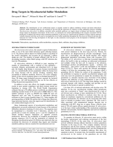 Drug Targets in Mycobacterial Sulfur Metabolism