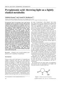 Pyroglutamic acid: throwing light on a lightly