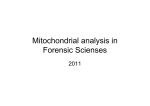 Mitochondrial analysis in Forensic Scienses