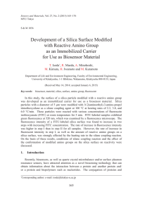 Development of a Silica Surface Modified with Reactive Amino