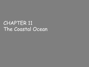 Chapter 11 - COSEE Florida