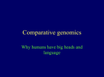 Honours core course - Comparative genomics (both lectures in 1 file)