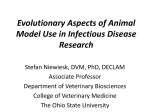Evolutionary Aspects of Animal Model Use in Infectious Disease