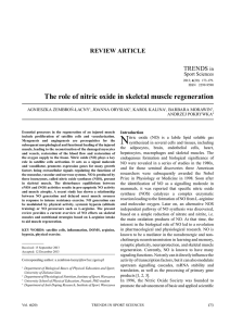 The role of nitric oxide in skeletal muscle regeneration