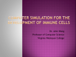 Computer Simulation for the Development of Immune Cells