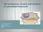 Cell Architecture 2 Dr Mahjabeen