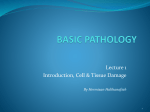 PATHOLOGY PTPA 1121