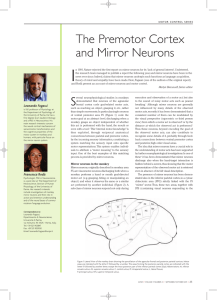 The Premotor Cortex and Mirror Neurons