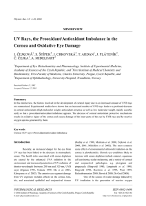 UV Rays, the Prooxidant/Antioxidant Imbalance in