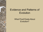 Evidence and Patterns of Evolution