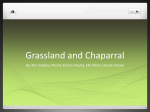 Grassland and Chaparral