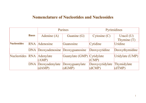 Nomenclature of Nucleotides and Nucleosides