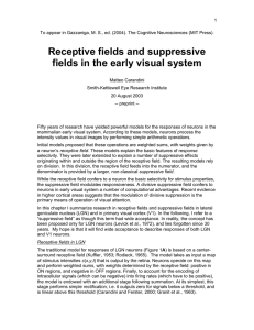 Receptive fields and suppressive fields in the