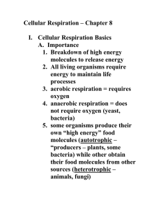 Cellular Respiration - Chapter 8 (new book).