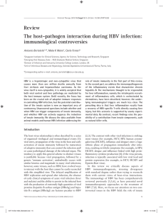 Review The host–pathogen interaction during HBV infection