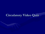 Circulatory Video Quiz Question 1