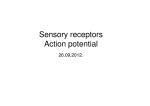 Sensory receptors Action potential